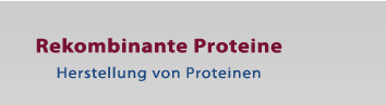 Recombinant Proteins Protein Production S